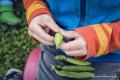 Herbst- und Familienfest im Amaliengarten Zittau