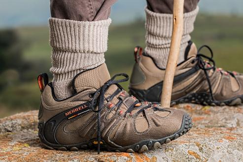 Bild zu Vorbereitungen fr den Zittauer Gebirgslauf & Wandertreff in vollem Gange